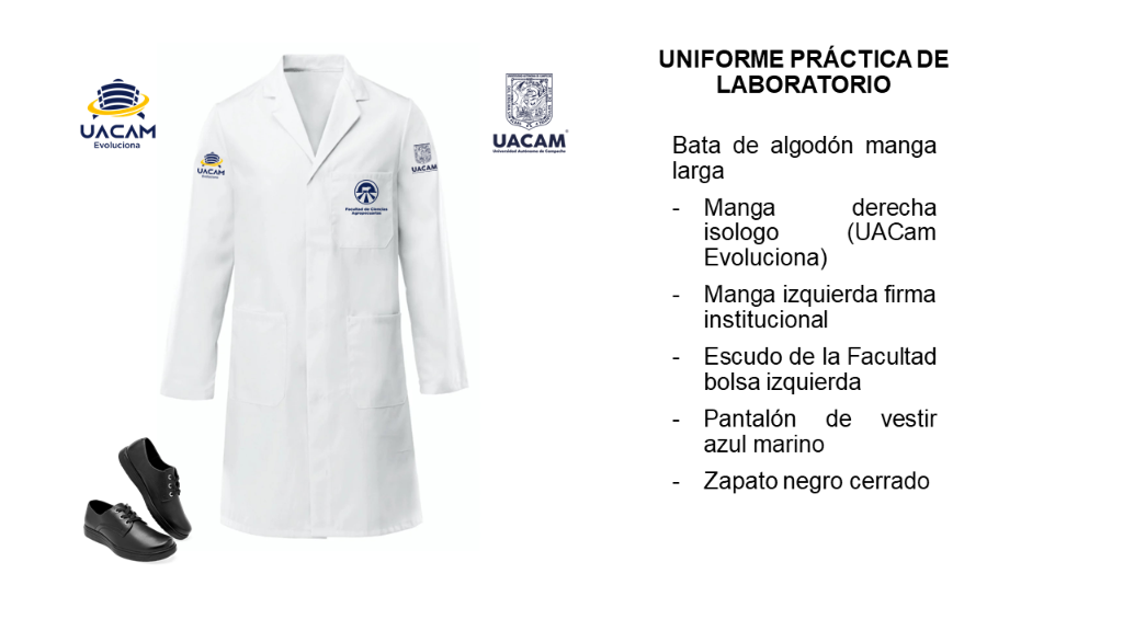 Diapositiva4